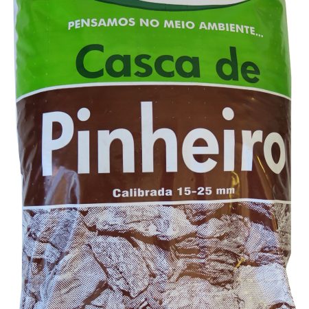 Casca de Pinheiro